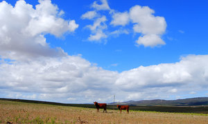 Enjoy a breath of fresh air in Napier